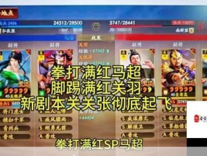 少年三国志2定军山决战秘籍，攻城拔寨战略全解析